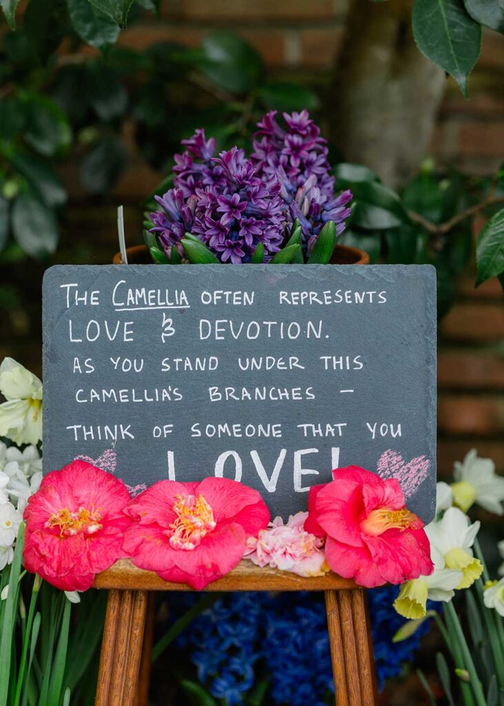 Natalia and Xander Anniversary Session